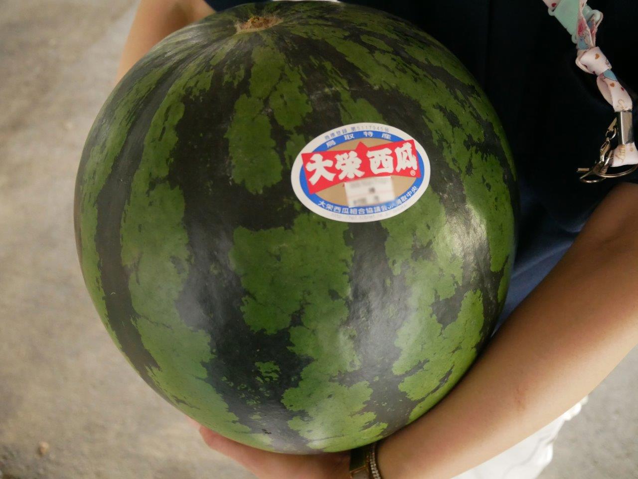 季節のお楽しみ3